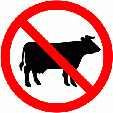 no cows
